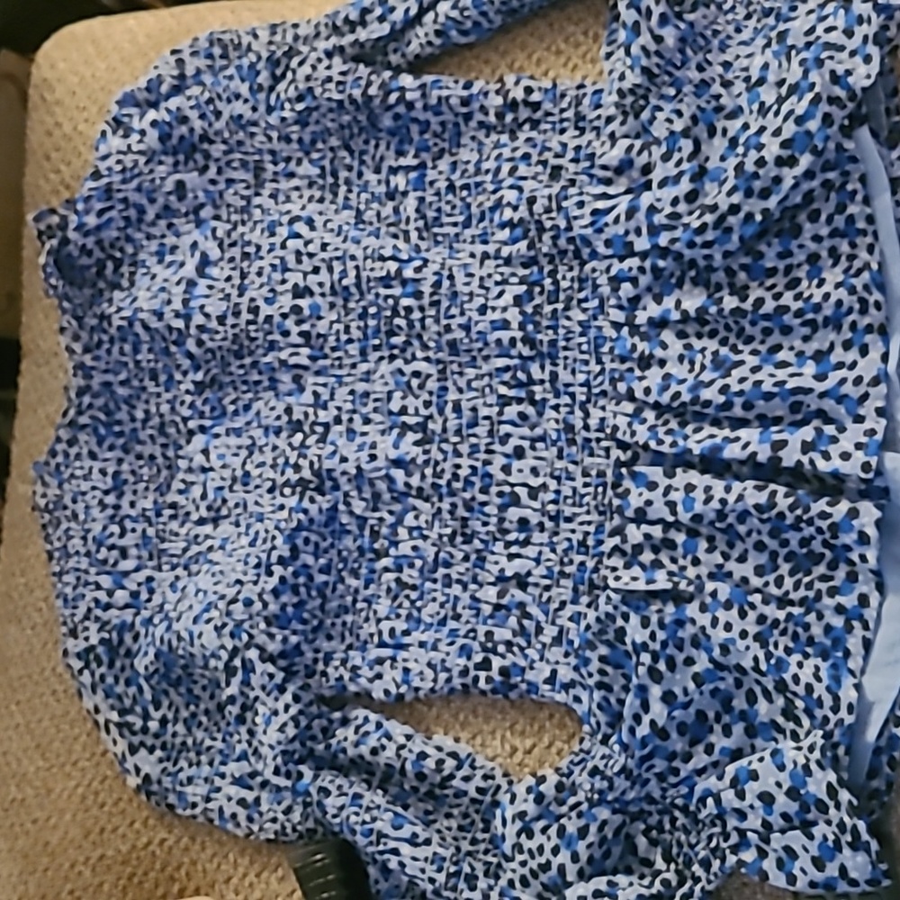 Leopard print (blue) balloon sleeve top from Express